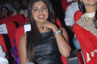 Amala Paul at Iddarammayilatho Audio